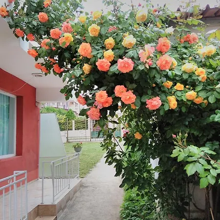 Beba Maison d'hôtes